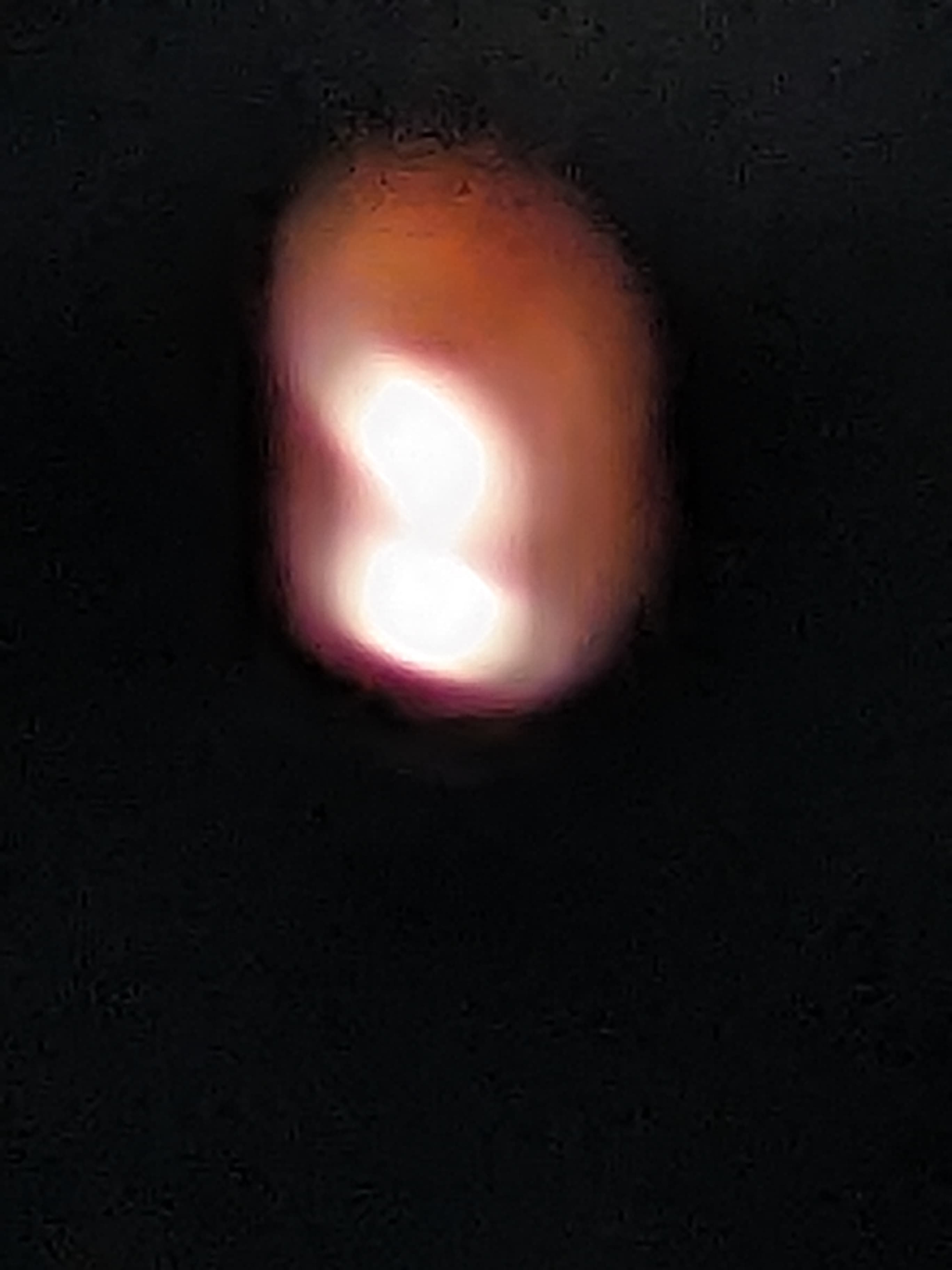 1000062600