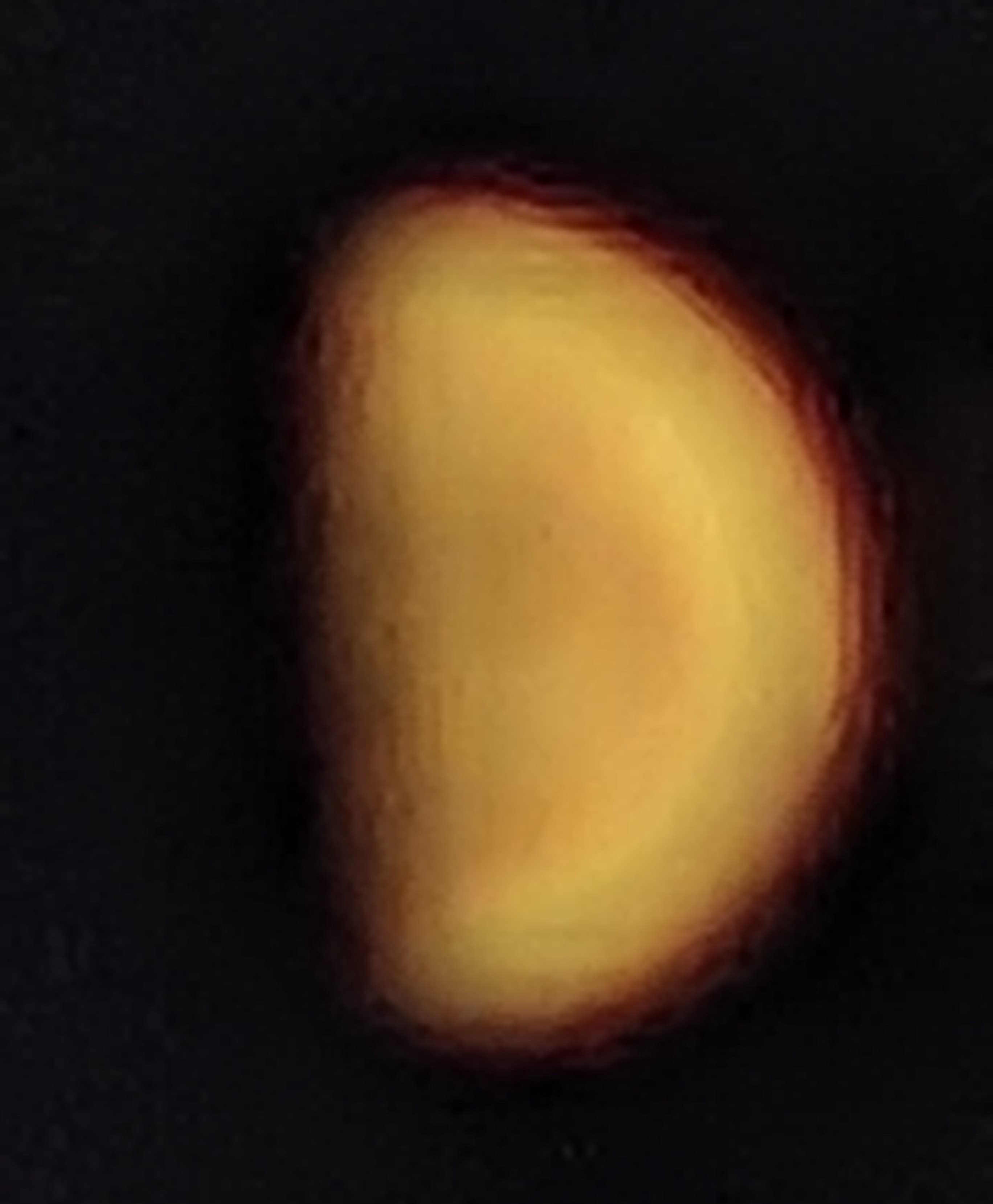 1000056824